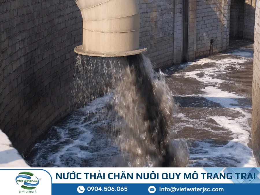Nước Thải Chăn Nuôi Quy Mô Trang Trại Nước Thải Chăn Nuôi Quy Mô Trang Trại-2
